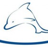 Dolphin Pools