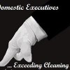 Domestic Executives