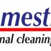 Domestiks Cleaning Service
