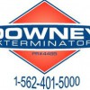 Downey Exterminators