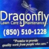 Dragonfly Lawn Care & Maintenance
