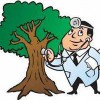 Doctor Trees & Landscape Specialist