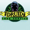 Druid Tree Service