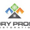 Dry Pros