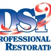 DSI Professional Restoration