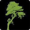 Dubois Tree Service