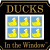 Ducks In The Window