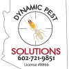 Dynamic Pest Solutions