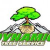 Dynamic Tree Service