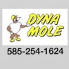 Dyna Mole Of Rochester