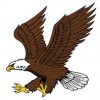 Eagle International