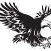 Eagle Environmental