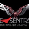 Eagle Sentry