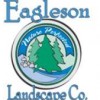 Eagleson Landscape