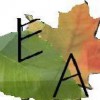 Eastern Atlantic Landscaping
