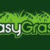 Easy Grass