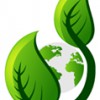 Ecoclean Services