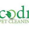 Ecodry Carpet Cleaning