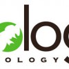 Ecologic Entomology