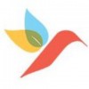 EcoSense Sustainable Landscapes