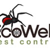 EcoWeb Pest Control