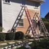 Ed Painting & Remodeling