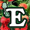 Evergreen Home & Garden