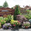 Eisele's Nursery & Garden Center
