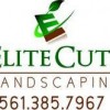 Elite Cuts Landscaping