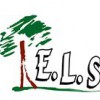 Els Landscaping & Lawn Services