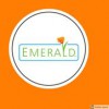 Emerald Site Services