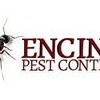 Encino Pest Control