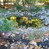 Enduring Elements Landscape Design & Construction