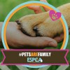 Enid SPCA