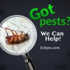 Erdye's Pest Control