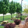 Erickson Landscaping