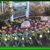 Erie Brothers Landscaping