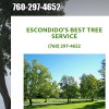 Escondido's Best Tree Service