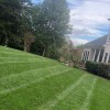 Essential Lawn Care & Landscaping