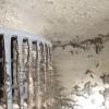 Everest Duct & HVAC Cleaning