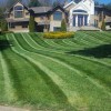 Evergreen Lawn Care & Landscaping