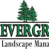 Evergreen Landscape Management