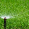 Evergreen Lawn Maintenance