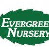 Evergreen Nursery