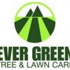 Ever Green Tree & Lawn Care