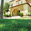 Evergreen Turf