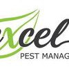 Excel Pest Management