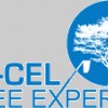 Excel Tree Expert