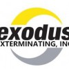Exodus Exterminating