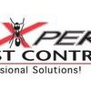 Expert Pest Control